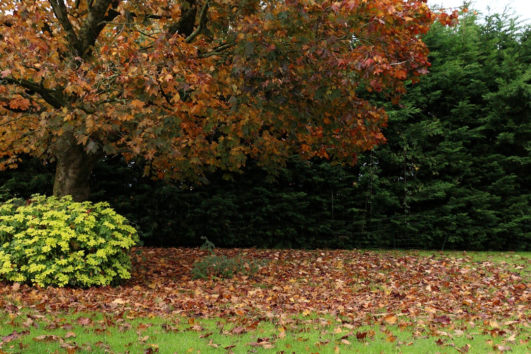 Entspannte Atmosphäre im Garten